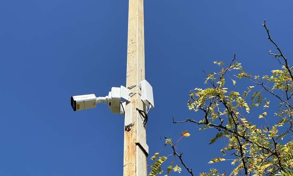 A PTZ surveillance camera mounted on a wooden pole.