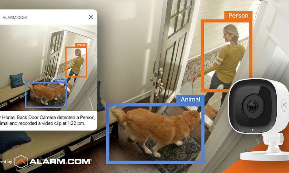 Video Surveillance System with analytics displaying a dog walker and dog.